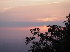 -惠山国家森林公园