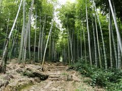-众神白水涧景区