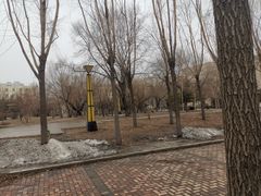-黑龙江大学