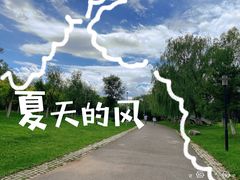 -莫子山公园
