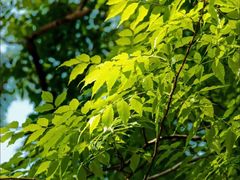 -华南国家植物园-售票处