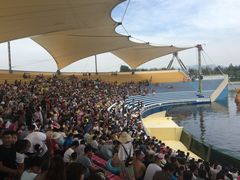 -秦皇岛乐岛海洋王国