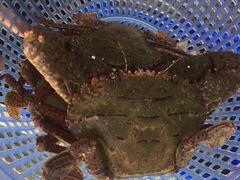 -南蚝小贝海鲜特色餐厅(南澳岛店)