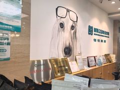 -美联众合动物医院·24h转诊中心