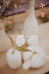 -婚礼美学