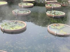 -石峰岩寺