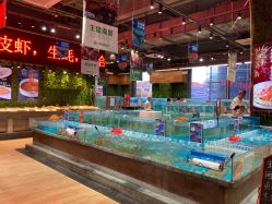 -宝燕乐园(闵行旗舰店)