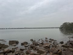 -宝安西湾红树林湿地公园