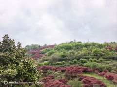 -四明山国家森林公园