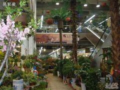 -双季花艺园艺市场(浦东店)
