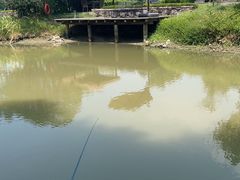 -盐官日光域房车营地·有盐餐厅