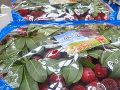 楊梅-西郊国际农产品交易中心