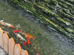 -老洋房花园饭店(绍兴路店)