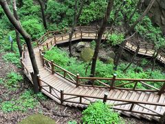 -大岭沟猕猴桃谷风景区