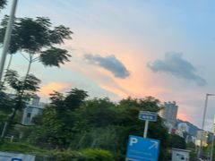 -九龙公园