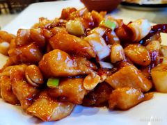 -鑫巴蜀小镇 · 水煮鱼专研店(玉桥店)