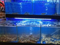 -罗二娘·鲜切牛自助火锅(罗湖东门步行街店)