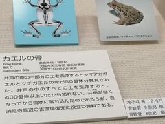 -大阪历史博物馆