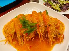 -丁老爷子苏香圆