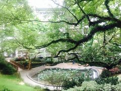 -香港大学