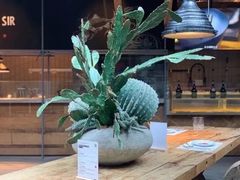 -三秋舍·梦幻岛(小西路店)