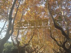 -来小酌·长安酒家(翠庭大厦店)
