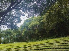 -敬亭山风景名胜区