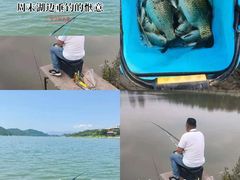 -长春市南湖公园