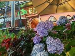 -那拉提之疆·新疆菜(美院店)