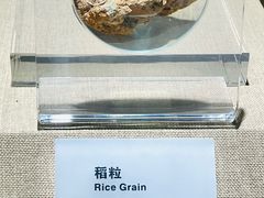 -烟台市博物馆