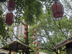 -成都市活水公园
