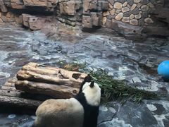-济南野生动物世界