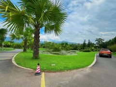 -中国科学院西双版纳热带植物园