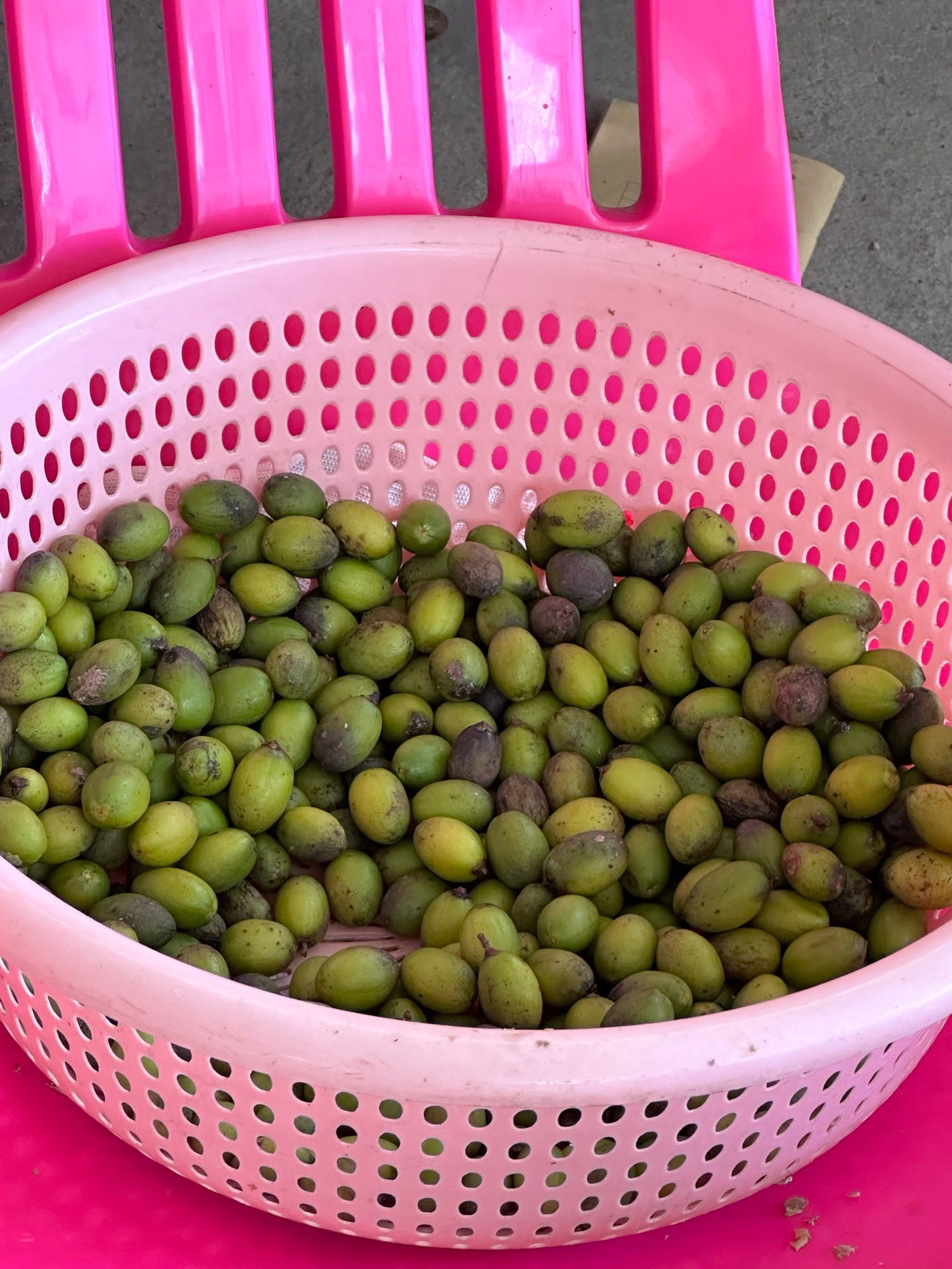 橄榄菜,自制的送粥佳品