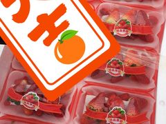 -红星农博物流中心