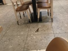 -大家乐(广州花城汇店)