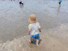 -奉贤海滩