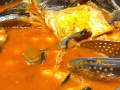 开河鲤鱼-九十九顶毡房(阜石路店)