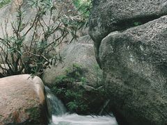 -海南热带雨林国家公园吊罗山景区