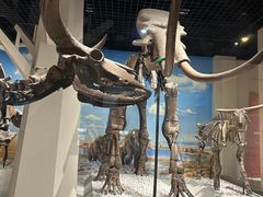 -国家自然博物馆