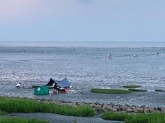 -南汇新城海滩