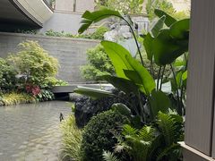 -一只酸奶牛(益州国际店)