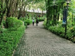 -嘉和K6温泉微度假