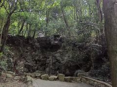 -上海佘山国家森林公园天马山园