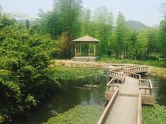 -天下银坑
