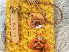 -读宠于你·约克夏比熊·睫角守宫·爬宠售卖(高新店)