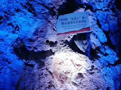 -周口店北京人遗址公园