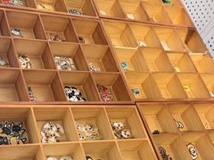 -小意思咖啡店(草桥店)