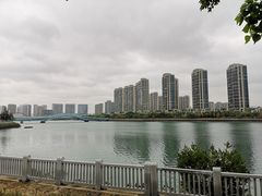 -五缘湾湿地公园