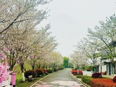 -西北湖绿化广场